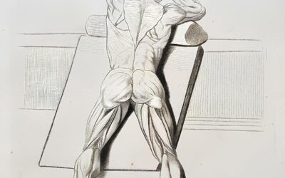 Galerie Christian Collin