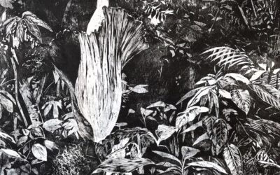 Galerie Documents 15