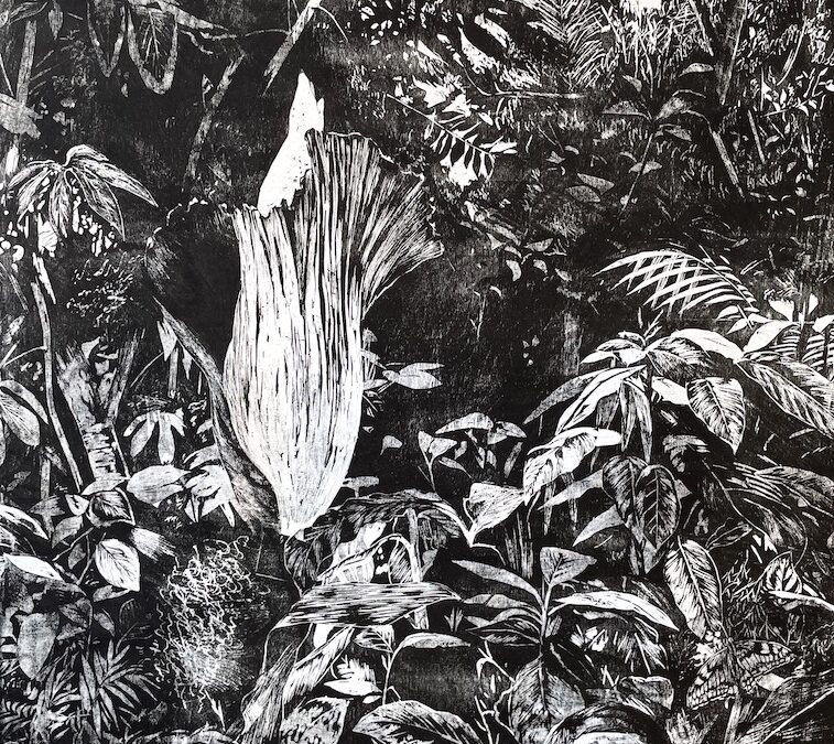 Galerie Documents 15